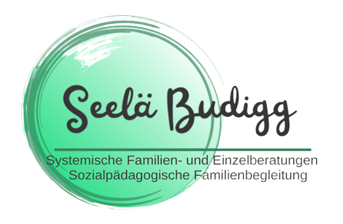 Seelä Budigg Logo