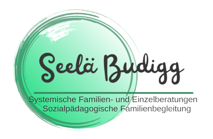 Seelä Budigg Logo